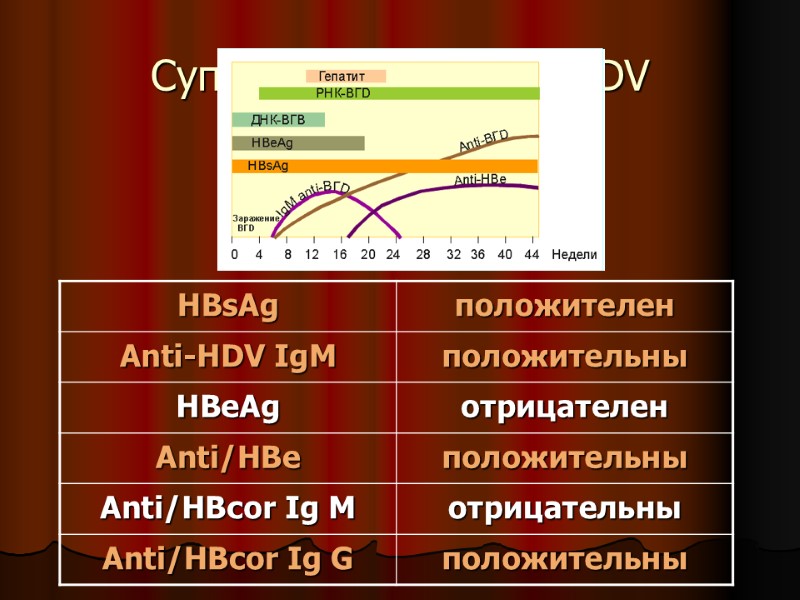 Суперинфекция HBV/HDV Суперинфекция HBV/HDV